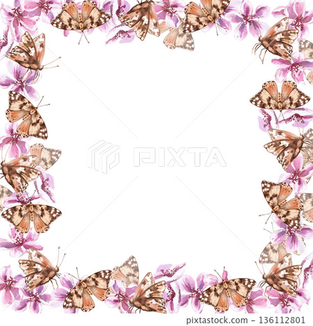 A square frame with butterflies and pink flowers. Isolated watercolor illustration for invitations, product packaging, interior design, and poster printing. A square frame with butterflies and pink flowers. Isolated watercolor illustration for invitations, product packaging, interior design, and poster printing. 136112801