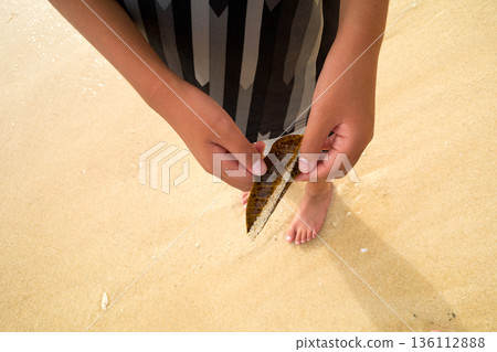 夏天 夏 海灘 136112888