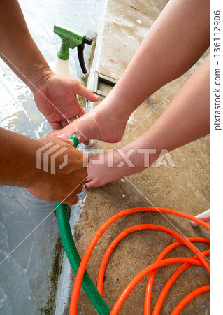 feet, paw, foot 136112906