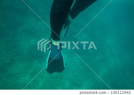 潛水 腳 英尺 136112942