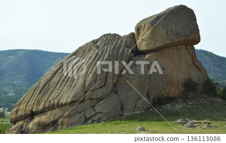 蒙古特日勒吉國家公園的海龜岩 136113086