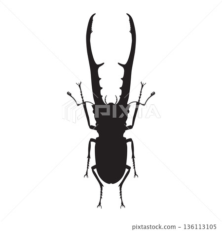 silhouettes of Staghorn beetle or lucanus cervus  136113105