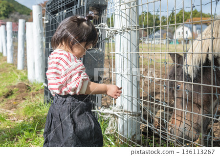 [Grazing horse and two-year-old child] 136113267