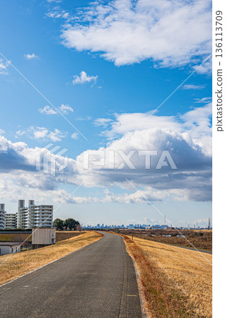 從淀川左岸眺望枚方市 136113709