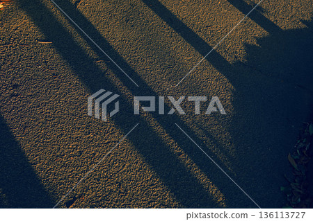 The road bathed in the setting sun The road bathed in the setting sun 136113727