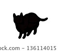 Silhouette of a quiet cat 136114015