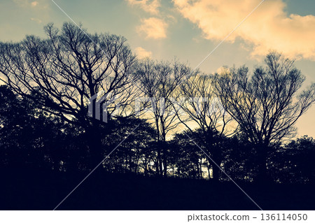 冬天的黃昏 136114050