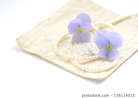 藍色的紫羅蘭和珍珠 136114818