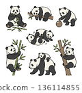 Panda parent and child and various poses illustration set variations Panda parent and child and various poses illustration set variations 136114855