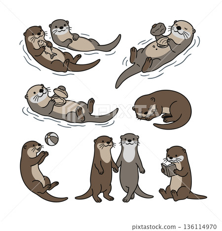 Cute otter pose and movement illustration set variations 136114970