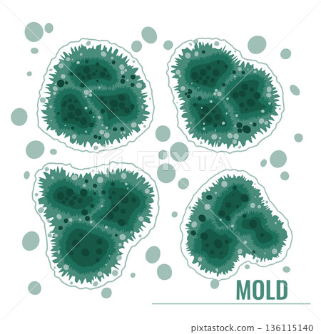 Green mold and mildew growth set. Fungal spores bundle. Green mold and mildew growth set. Fungal spores bundle. 136115140
