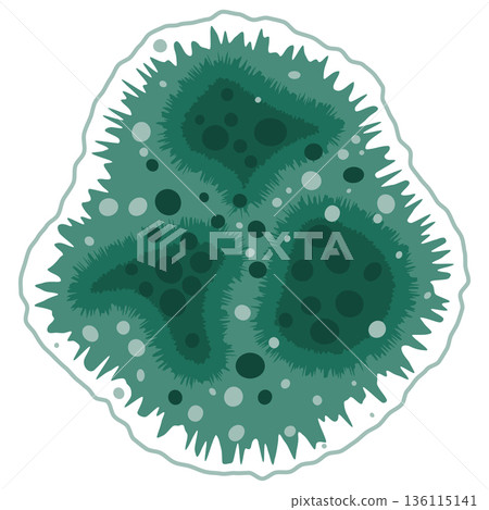 Green mold fungus growth illustration 136115141