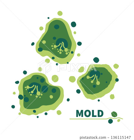 Green fungus spores growth vector illustration set 136115147