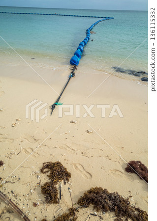 beach, beaches, ocean 136115332