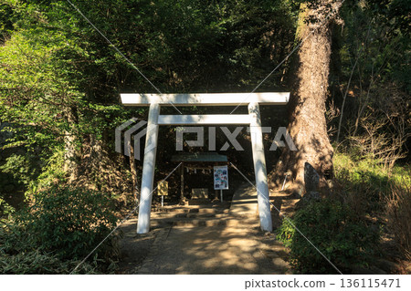 伊豆熱海情侶一日遊 伊豆熱海情侶一日遊 136115471