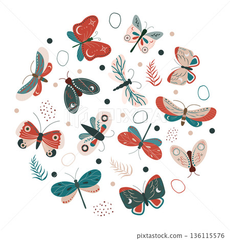 set of decorated butterfly 136115576