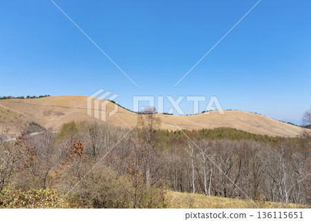 A view from the Venus Line running through Kurumayama Plateau in Nagano Prefecture 136115651