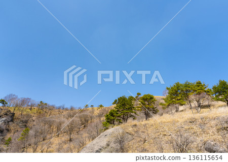 從貫穿長野縣車間山高原的金星線望去的景色 136115654