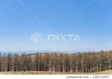 A view from the Venus Line running through Kurumayama Plateau in Nagano Prefecture A view from the Venus Line running through Kurumayama Plateau in Nagano Prefecture 136115657