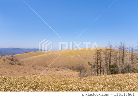 從貫穿長野縣車間山高原的金星線望去的景色 136115661