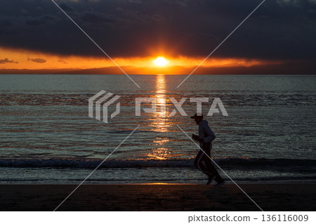 Lion coast sunset view 136116009