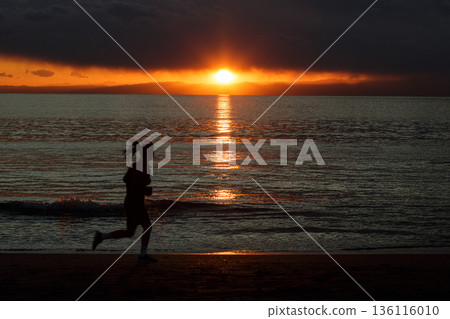 Lion coast sunset view 136116010