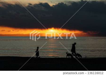 Lion coast sunset view 136116012