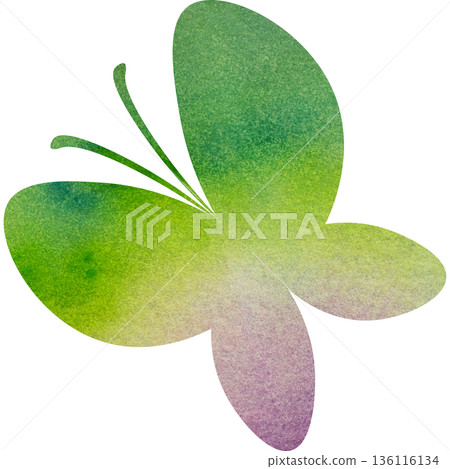 Beautiful watercolor butterfly icon image illustration 136116134