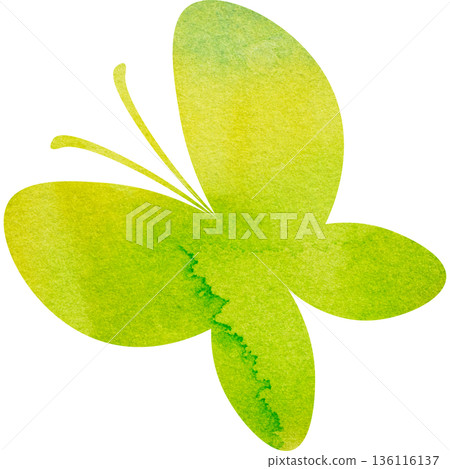 Beautiful watercolor butterfly icon image illustration Beautiful watercolor butterfly icon image illustration 136116137