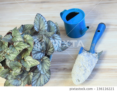 Fertilization with using wooden ash full of calcium and potassium. Fertilization with using wooden ash full of calcium and potassium. 136116221