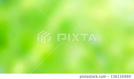 blurred background bright lime green and yellow colors abstract summer nature texture fresh grass foliage defocus wallpaper sunny day outdoor atmosphere blurred background bright lime green and yellow colors abstract summer nature texture fresh grass foliage defocus wallpaper sunny day outdoor atmosphere 136116989