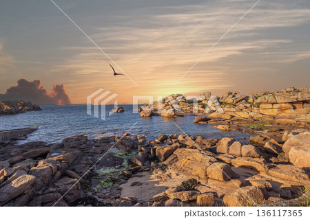 Ploumanac'h pink granite coast, cotes-d'armor, brittany, france 136117365