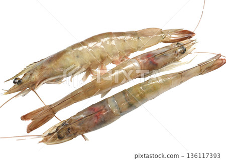 Raw shrimp, Caridea. Raw shrimp, Caridea. 136117393