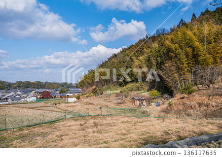 奈良縣飛鳥村的冬季梯田 136117635
