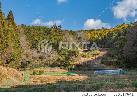奈良縣飛鳥村的里山景色 136117641