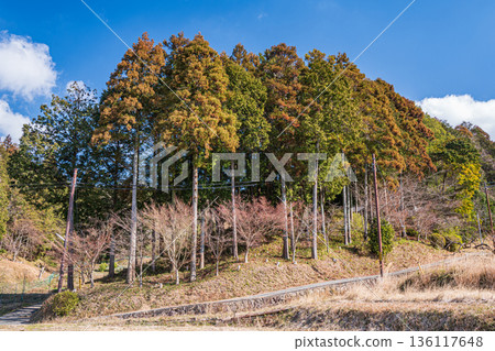 奈良縣飛鳥村的冬季景色 136117648