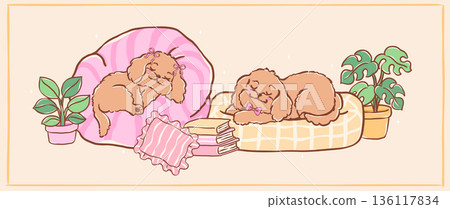 Adorable cavoodle puppies sleeping on cozy couch whimsical hand drawn banner Adorable cavoodle puppies sleeping on cozy couch whimsical hand drawn banner 136117834
