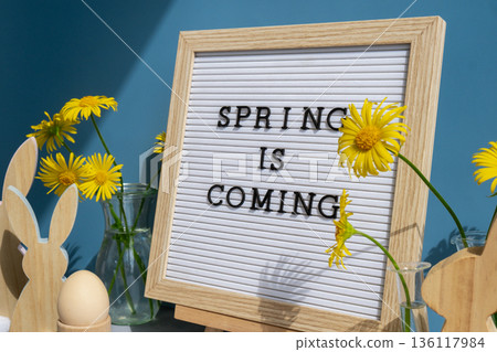 Phrase SPRING IS COMING traditional greeting to christian holiday. Festive mood composition with bunnies and yellow flowers on pastel blue background. Sustainable natural materials 136117984
