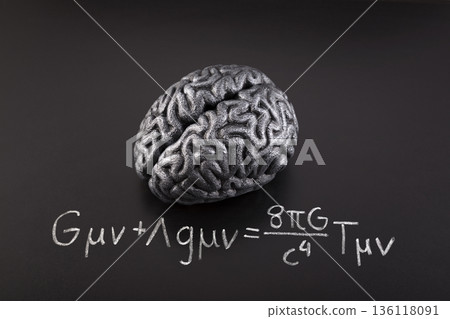 Human brain model with Albert Einstein's Field Equation. Science, education and learning concept. 136118091