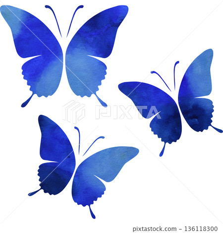Beautiful watercolor butterfly icon image illustration Beautiful watercolor butterfly icon image illustration 136118300
