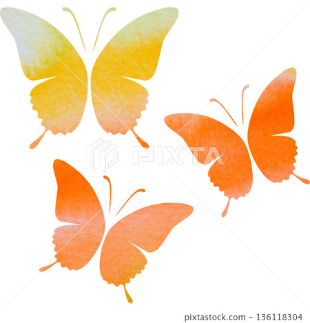 美麗的水彩蝴蝶圖示圖像插圖 美麗的水彩蝴蝶圖示圖像插圖 136118304