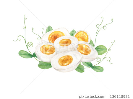 Hard boiled egg halves with young green pea sprouts watercolor illustration on isolated background. Half of eggs with microgreens composition for organic food design, recipe decor, restaurant menu. 136118921