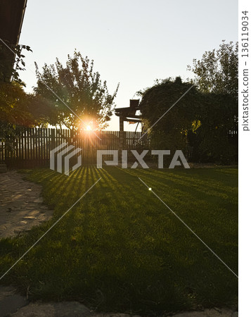 Golden morning light in a tranquil spring garden, expressing growth, hope and a fresh start through nature, balance and outdoor calm 136119034