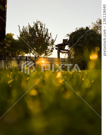 Serene backyard landscape at spring sunrise with green grass and warm sunlight, evoking renewal, emotional rebirth and mindful living 136119040