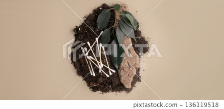 Eco-friendly cotton swabs biodegrading in rich soil with green plant 136119518