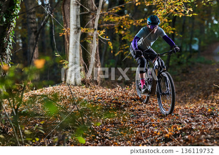 Autumn Forest Mountain Biker Rides Leaf-Litter Trail Wearing Helmet and Gear 136119732