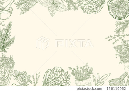 Vintage botanical herbs frame with hand drawn leaves and plants Vintage botanical herbs frame with hand drawn leaves and plants 136119962