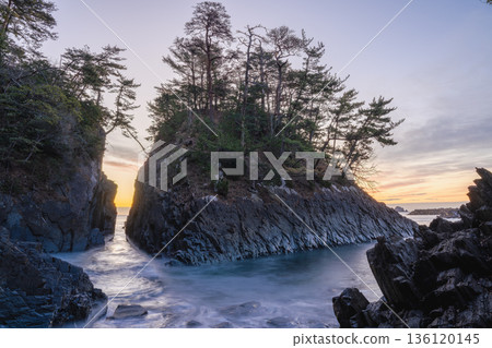 神割崎的黎明，平靜的海面被珊瑚礁和松樹環繞。 136120145