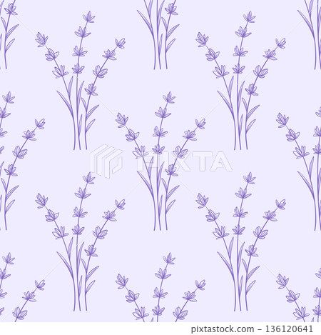 Seamless pattern with lavender flowers 136120641