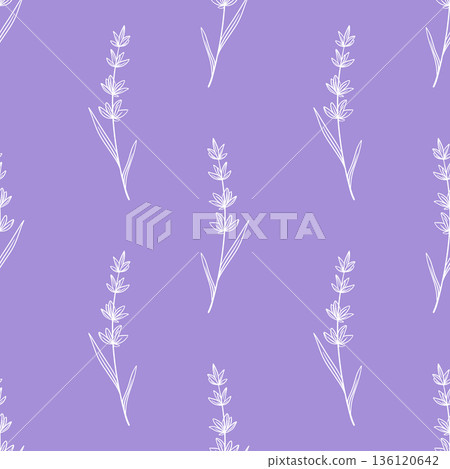 Single lavender flowers on purple background Single lavender flowers on purple background 136120642